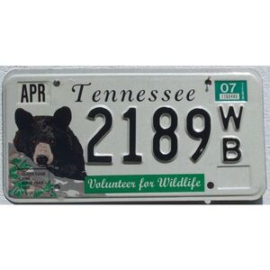 Tennessee 2007 Wildlife Bär