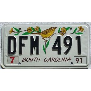 South Carolina 1991