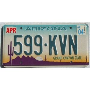 Arizona 2004