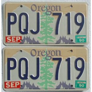 Oregon 1990 als Paar