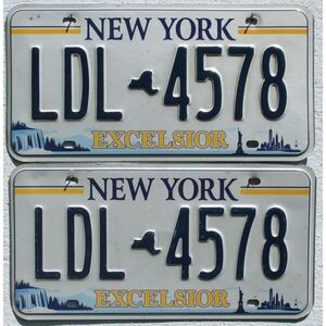 New York The Excelsior als Paar