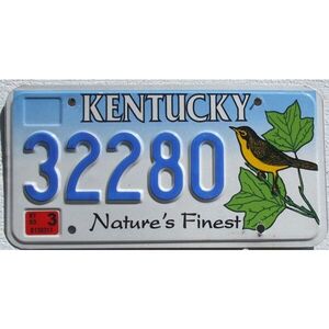 Kentucky 2000 Gelber Vogel