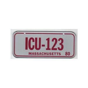 Massachusetts Mini Nummernschild