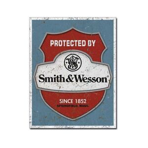 Smith &amp; Wesson Protected