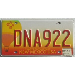 New Mexico 2004 Ballon