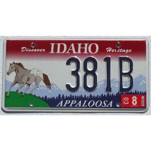 Idaho 2003 Appaloosa Pferde