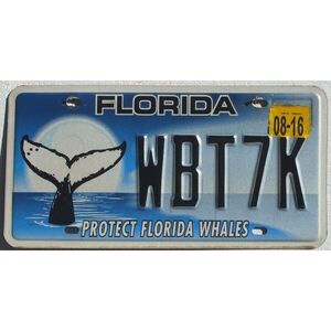 Florida 2016 Walflosse