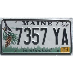 Maine 2021 Vogel Grafik