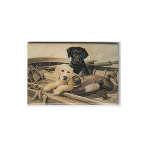 Labrador Welpen