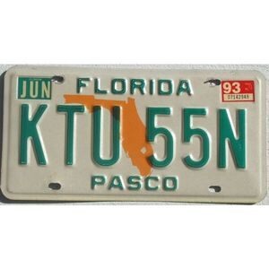 Florida 1993 Landkarte orange - Pasco County
