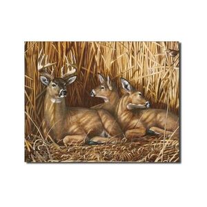 Rehe im Wald