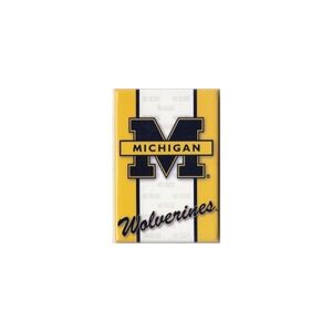 Michigan State Wolverines