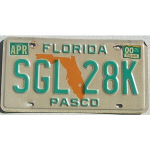 Florida 2000 Landkarte Orange - Pasco County