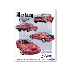Ford Mustang 30 jähriges Jubiläum