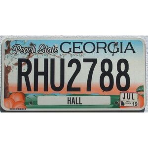 Georgia 2019 Peach State