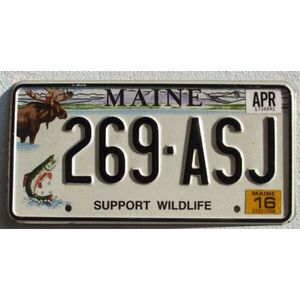 Maine 2016 Wildlife