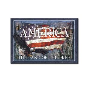 America - Land of Free