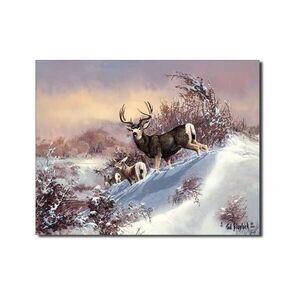 Hirsch Winter Landschaft