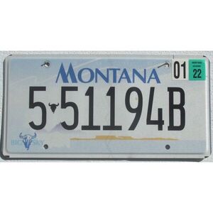 Montana 2022