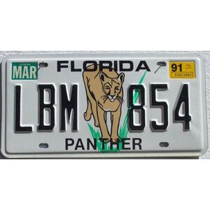 Florida 1991 Panther