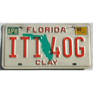 Florida 1995 Landkarte grün - Clay County