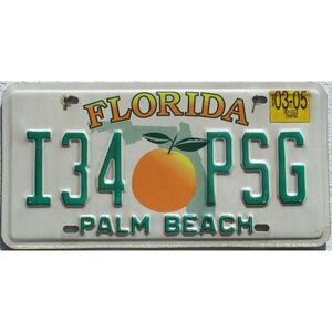 Florida 2005 Orangen Grafik - Palm Beach County