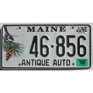 Maine 2012 Vogel Grafik - Antique Auto