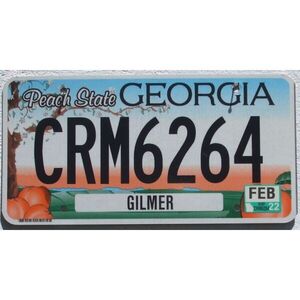 Georgia 2022 Peach State