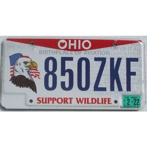 Ohio 2022 Wildlife - Weißkopf Adler
