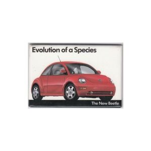 VW New Beetle