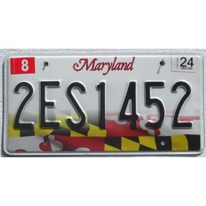 Maryland 2024 Fahne