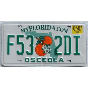 Florida 2007 Osceola County