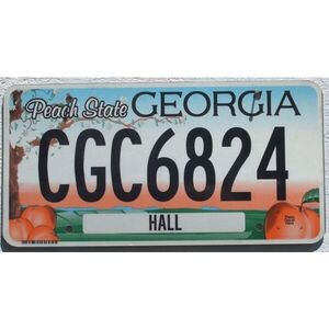 Georgia Peach State