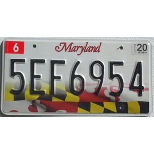 Maryland 2020 Fahne