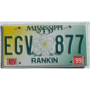 Mississippi 1999 Blume