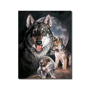 Wolf Experience / Wölfe
