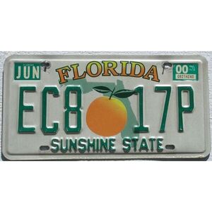 Florida 2000 Orangen Grafik - Sunshine State
