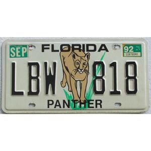 Florida 1992  Panther