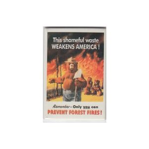 Smokey Bear Forest