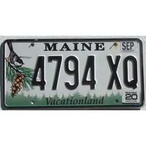 Maine 2020 Vogel Grafik