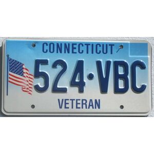 Connecticut Veteran Fahne