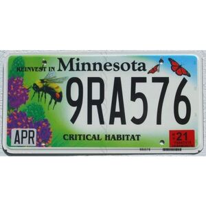 Minnesota 2021 Habitat Biene