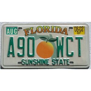 Florida 2002 Orangen Grafik - Sunshine State