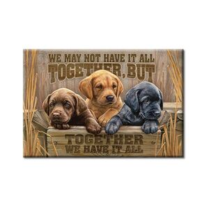 Hunde Welpen