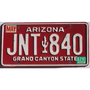 Arizona 1993